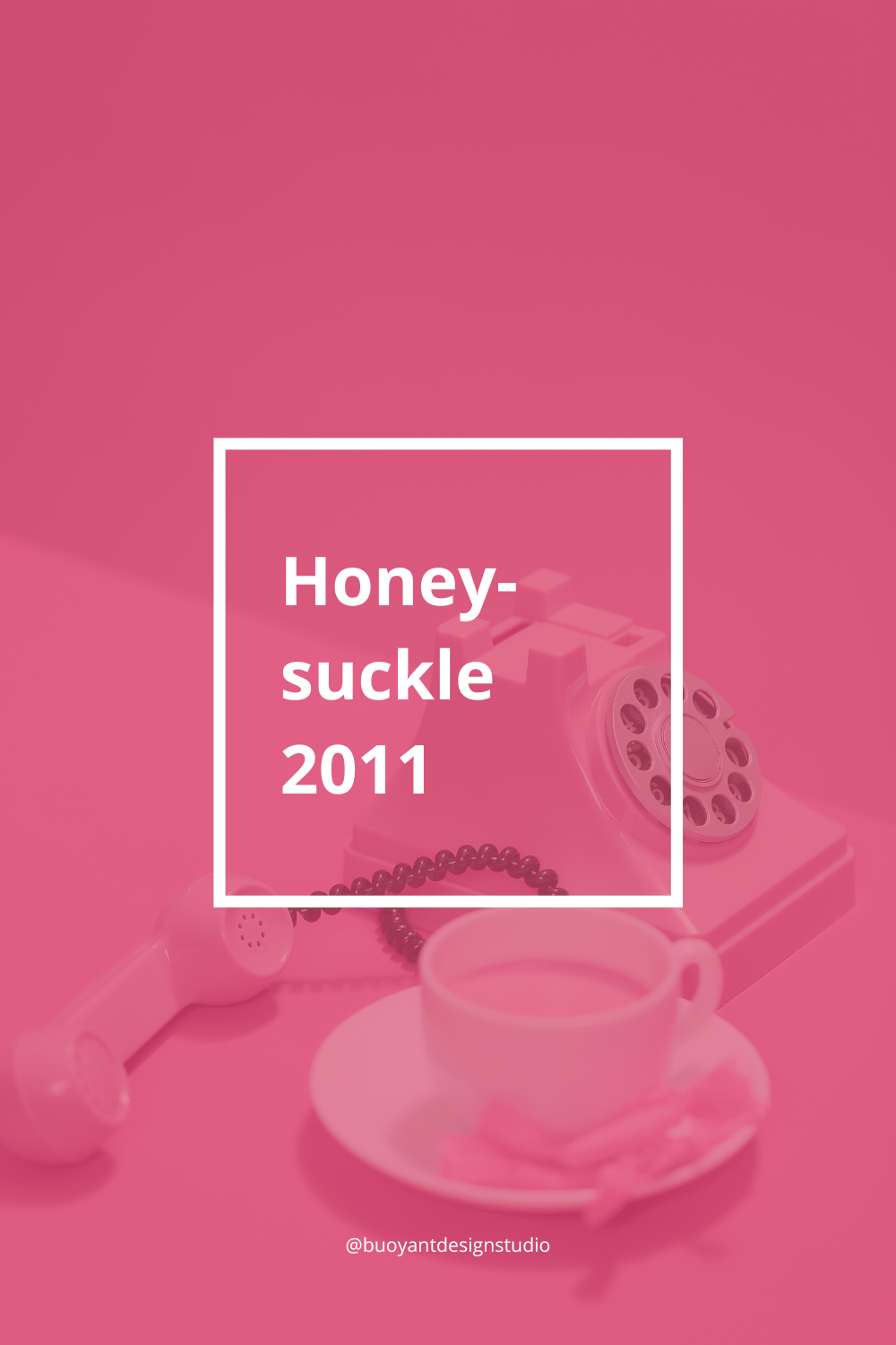 Honeysuckle 2011